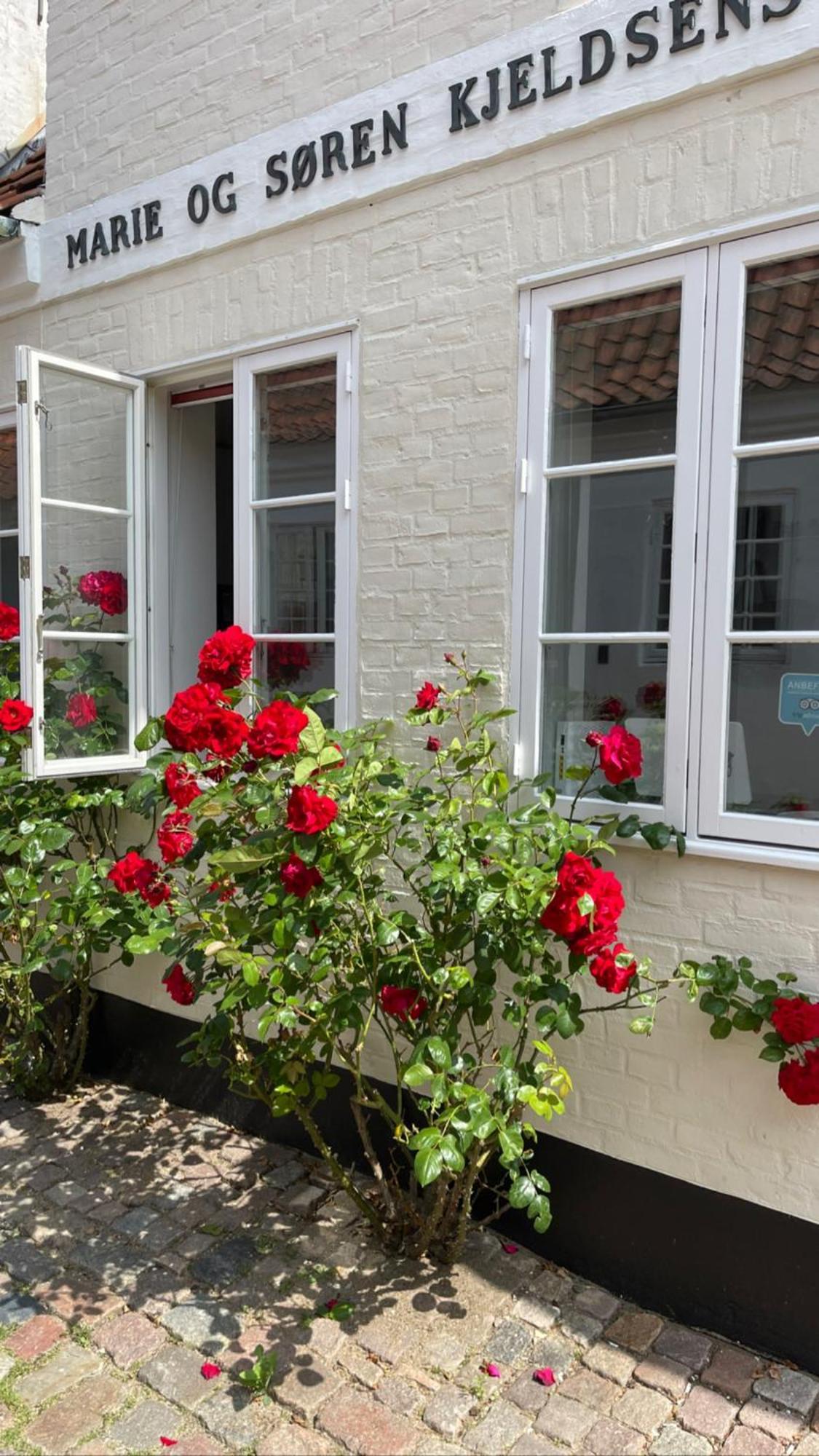 Restaurant Saelhunden Bed and Breakfast Ribe Exteriör bild
