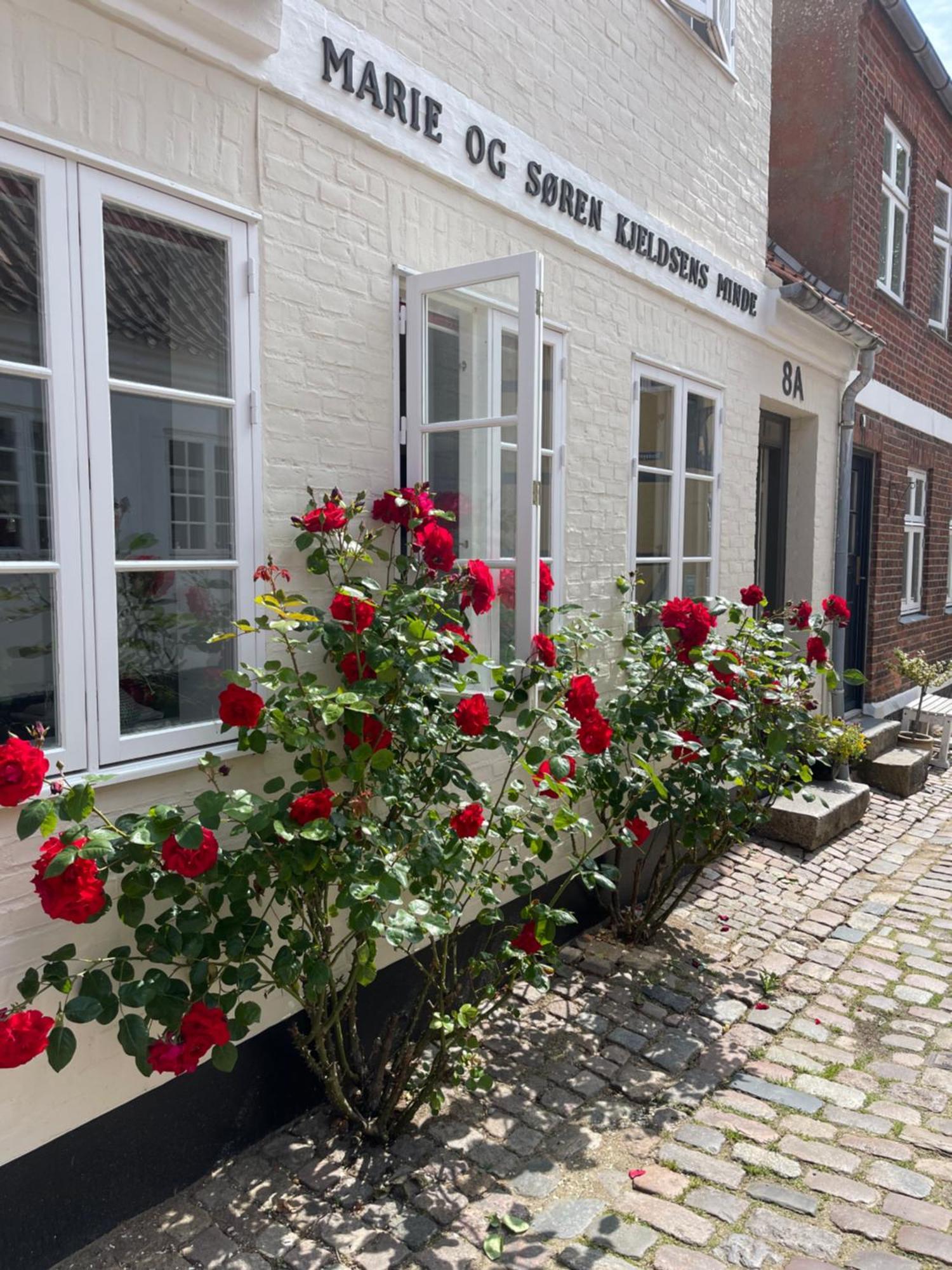 Restaurant Saelhunden Bed and Breakfast Ribe Exteriör bild